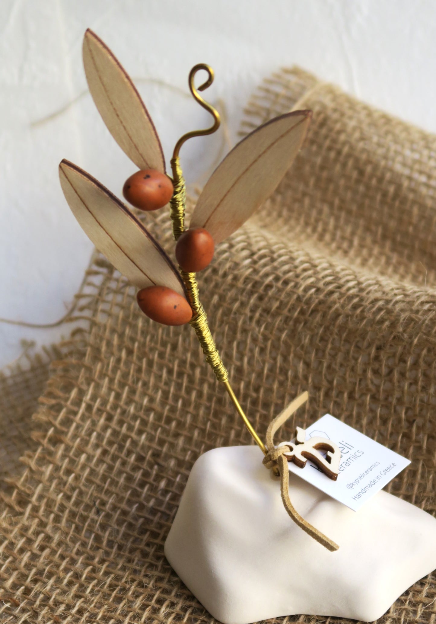 Κλαδί Ελιάς Με Καφέ Καρπούς