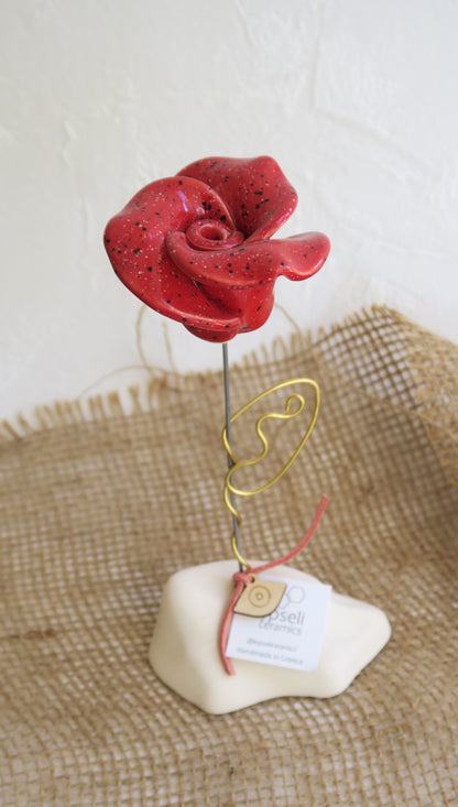 Τριαντάφυλλο