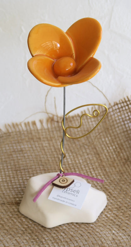 Πορτοκαλί μαργαρίτα