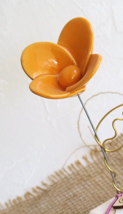 Πορτοκαλί μαργαρίτα