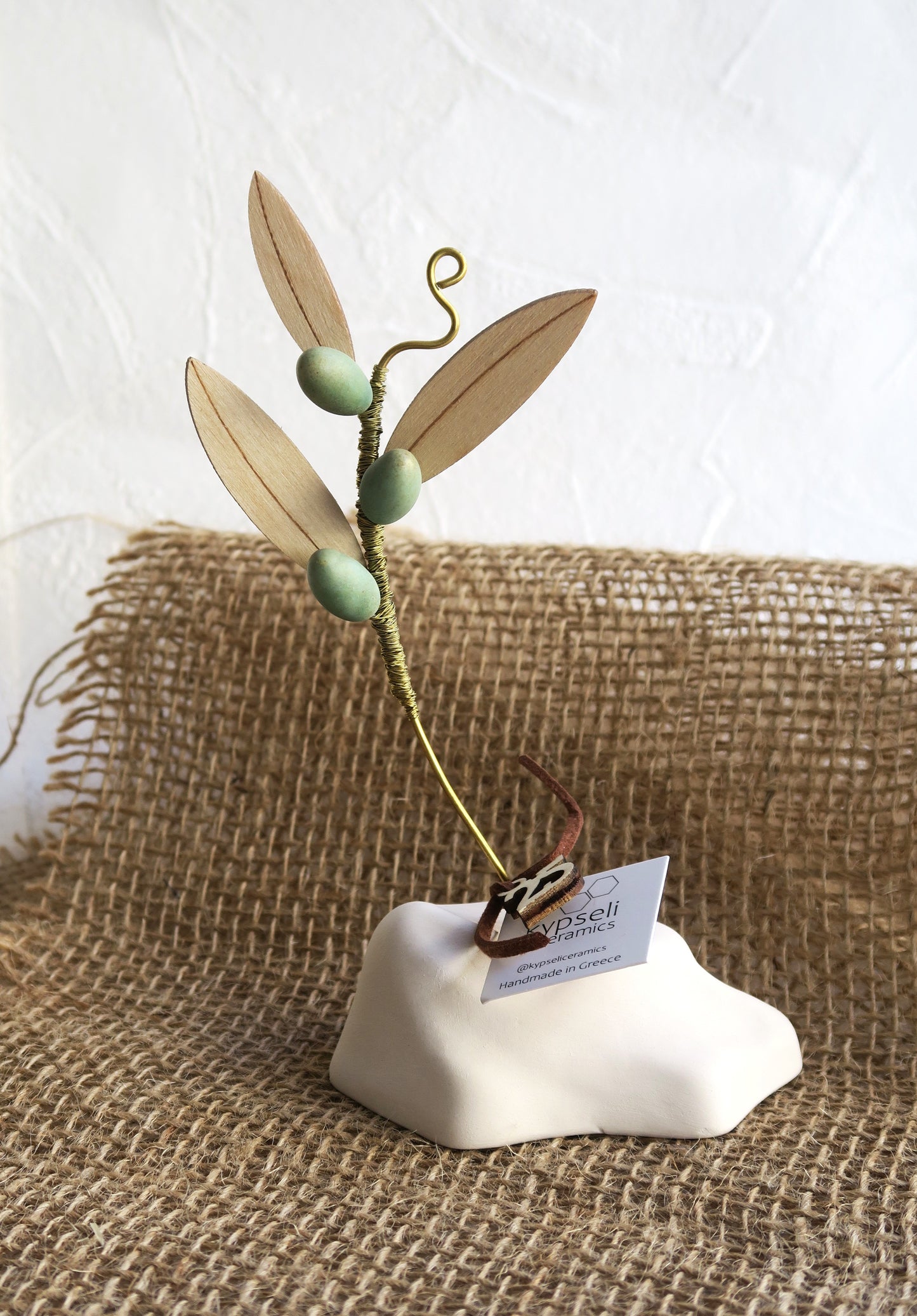 Κλαδί Ελιάς Με Λευκή βάση