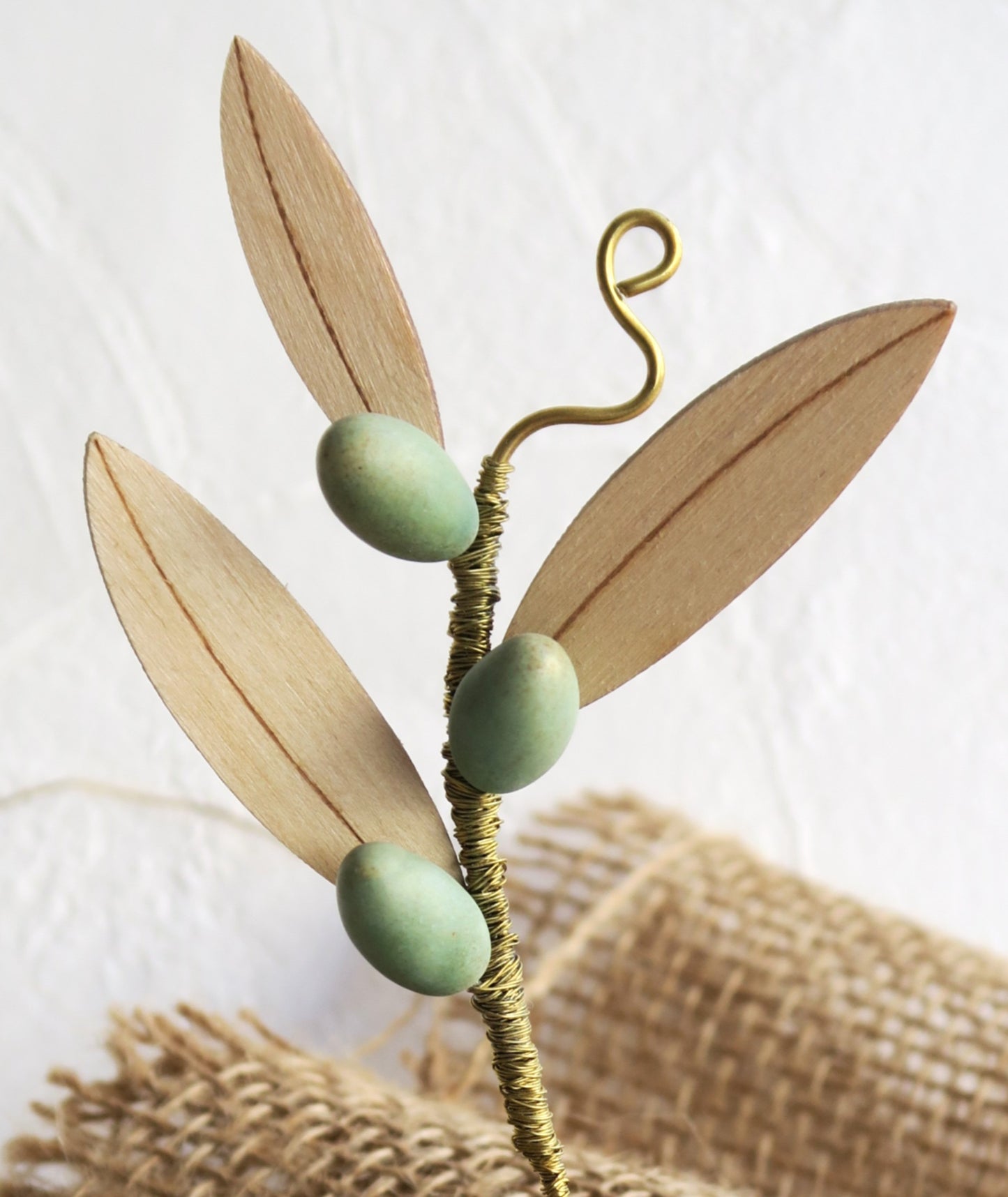 Κλαδί Ελιάς Με Λευκή βάση