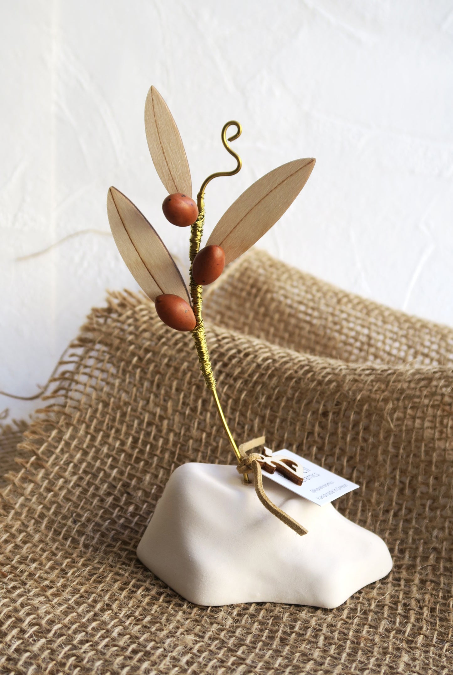 Κλαδί Ελιάς Με Καφέ Καρπούς