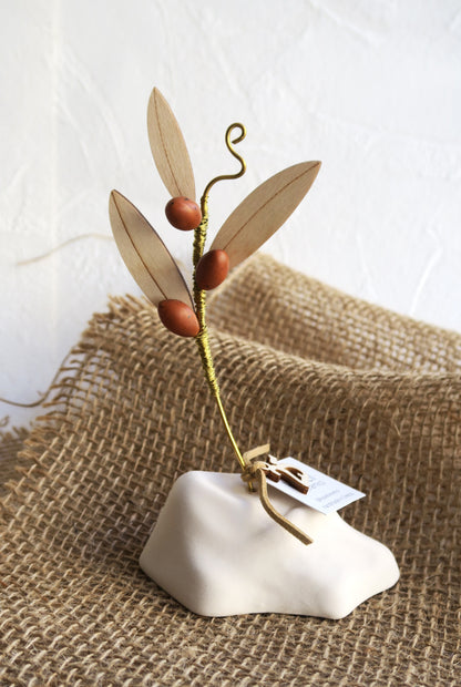 Κλαδί Ελιάς Με Καφέ Καρπούς