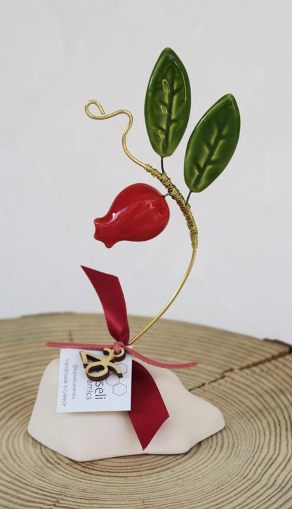 Κλαδί Με Ρόδι